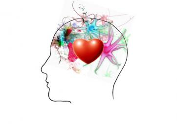 Curso Online 3D Inteligencia Emocional