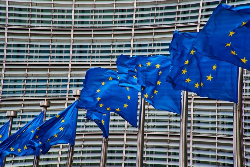 Más Plurales denuncia la LOMLOE ante la Comisión Europea